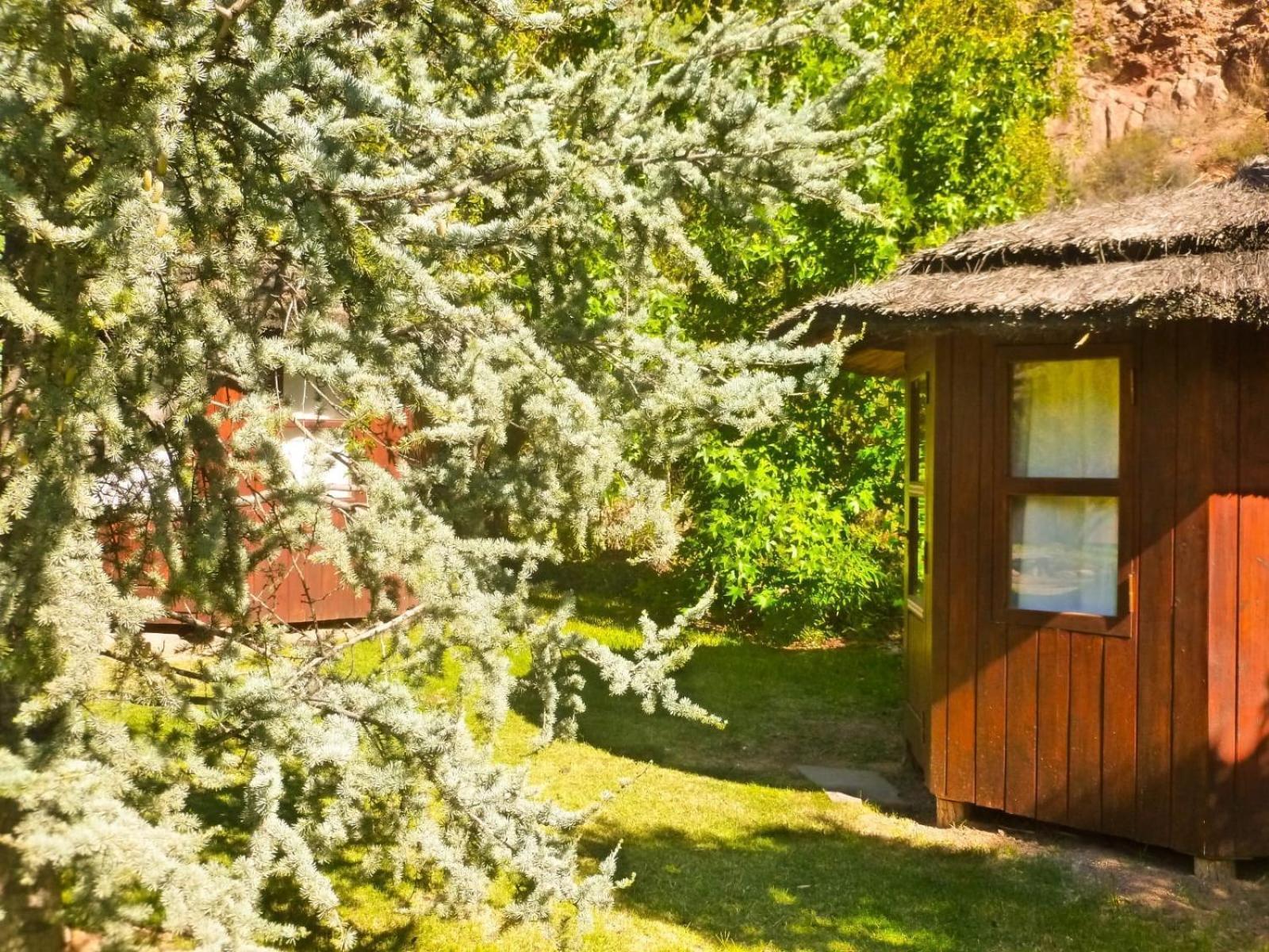 Campsite Hunuc Huar Glamping San Rafael (Mendoza)