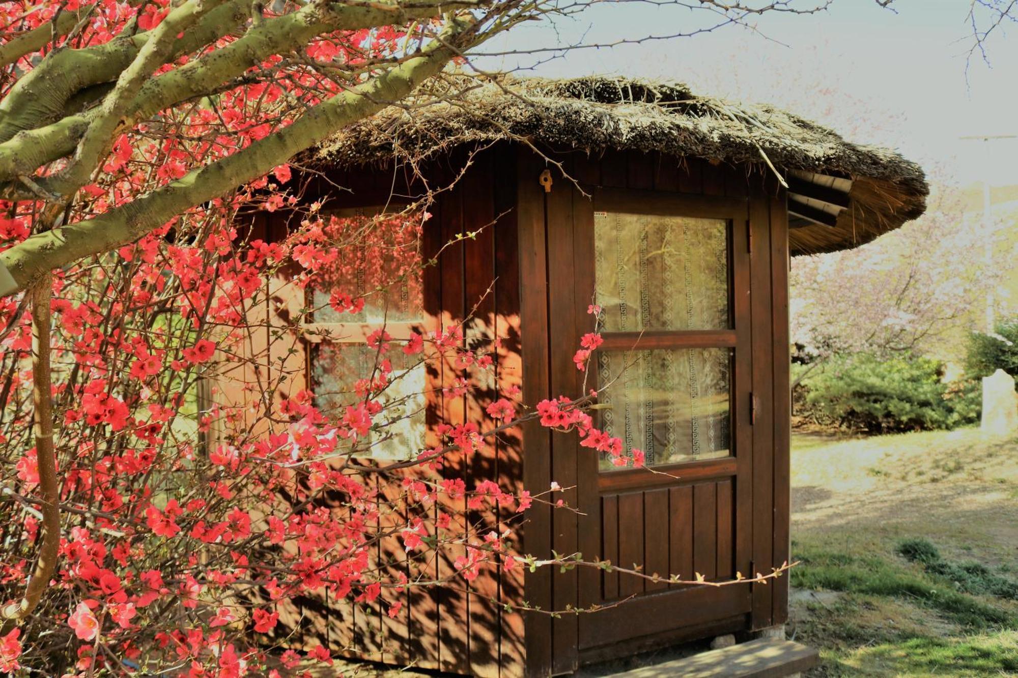 Campsite Hunuc Huar Glamping *
